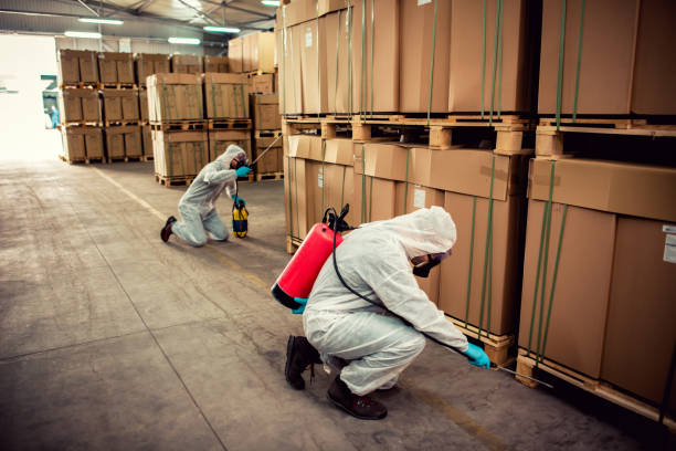 Best Pest Prevention Services  in Roxborough Park, CO