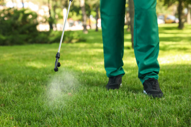 Best Flea Control Services  in Roxborough Park, CO