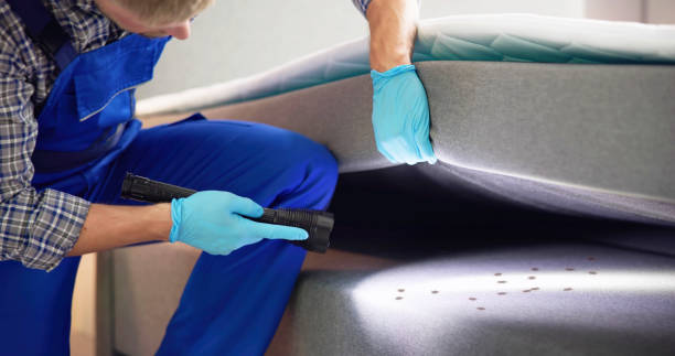 Best Affordable Pest Control Services  in Roxborough Park, CO