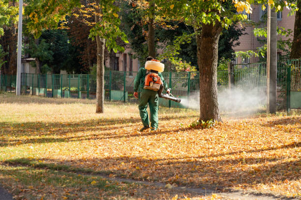 Wildlife Control Services in Roxborough Park, CO